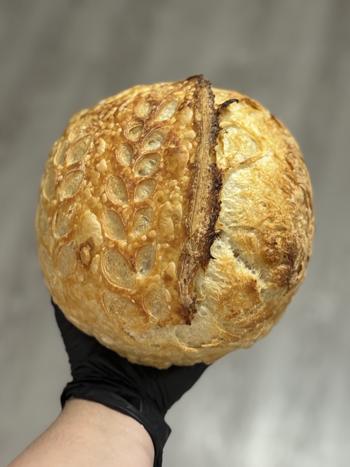 Country Sourdough